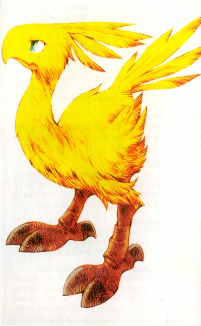 chocobo.gif